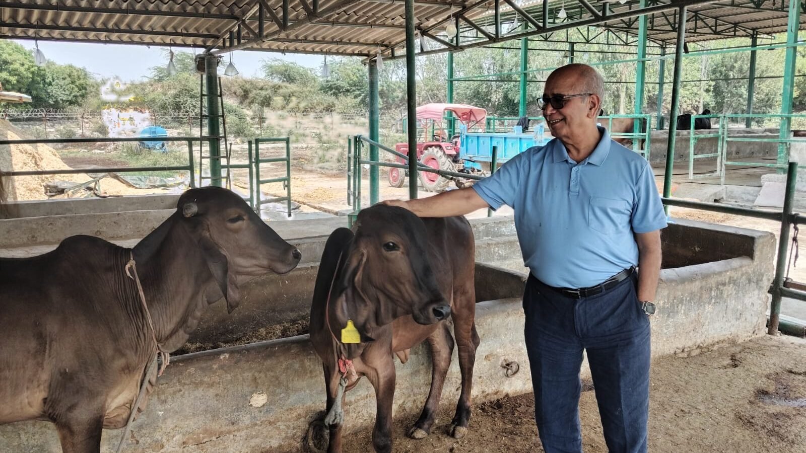 उत्तर प्रदेश में मुख्यमंत्री योगी आदित्यनाथ की प्रेरणा से गो संरक्षण अब आर्थिक समृद्धि और राष्ट्रसेवा का नया मॉडल बनकर उभर रहा है। प्रदेश की देसी गायों का हाई प्रोटीन दूध भारतीय सेना तक पहुंच रहा है, जिसकी मांग लगातार बढ़ रही है। आधुनिक डेयरी तकनीक और ऑनलाइन मार्केटिंग के जरिए यूपी के गो उत्पाद अब चेन्नई, बेंगलुरु और मुंबई जैसे महानगरों तक पहुंच रहे हैं। गो आधारित अर्थव्यवस्था ग्रामीण रोजगार, आत्मनिर्भरता और स्वास्थ्य क्षेत्र में नई संभावनाएं पैदा कर रही है।