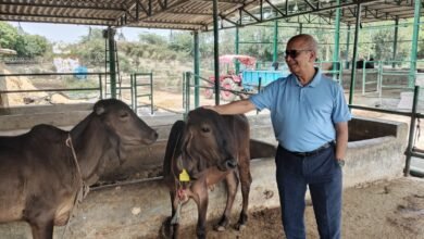उत्तर प्रदेश में मुख्यमंत्री योगी आदित्यनाथ की प्रेरणा से गो संरक्षण अब आर्थिक समृद्धि और राष्ट्रसेवा का नया मॉडल बनकर उभर रहा है। प्रदेश की देसी गायों का हाई प्रोटीन दूध भारतीय सेना तक पहुंच रहा है, जिसकी मांग लगातार बढ़ रही है। आधुनिक डेयरी तकनीक और ऑनलाइन मार्केटिंग के जरिए यूपी के गो उत्पाद अब चेन्नई, बेंगलुरु और मुंबई जैसे महानगरों तक पहुंच रहे हैं। गो आधारित अर्थव्यवस्था ग्रामीण रोजगार, आत्मनिर्भरता और स्वास्थ्य क्षेत्र में नई संभावनाएं पैदा कर रही है।