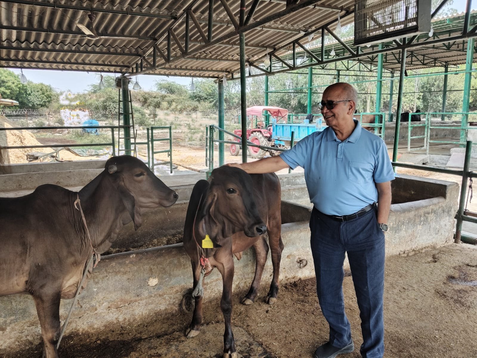 उत्तर प्रदेश में मुख्यमंत्री योगी आदित्यनाथ की प्रेरणा से गो संरक्षण अब आर्थिक समृद्धि और राष्ट्रसेवा का नया मॉडल बनकर उभर रहा है। प्रदेश की देसी गायों का हाई प्रोटीन दूध भारतीय सेना तक पहुंच रहा है, जिसकी मांग लगातार बढ़ रही है। आधुनिक डेयरी तकनीक और ऑनलाइन मार्केटिंग के जरिए यूपी के गो उत्पाद अब चेन्नई, बेंगलुरु और मुंबई जैसे महानगरों तक पहुंच रहे हैं। गो आधारित अर्थव्यवस्था ग्रामीण रोजगार, आत्मनिर्भरता और स्वास्थ्य क्षेत्र में नई संभावनाएं पैदा कर रही है।
