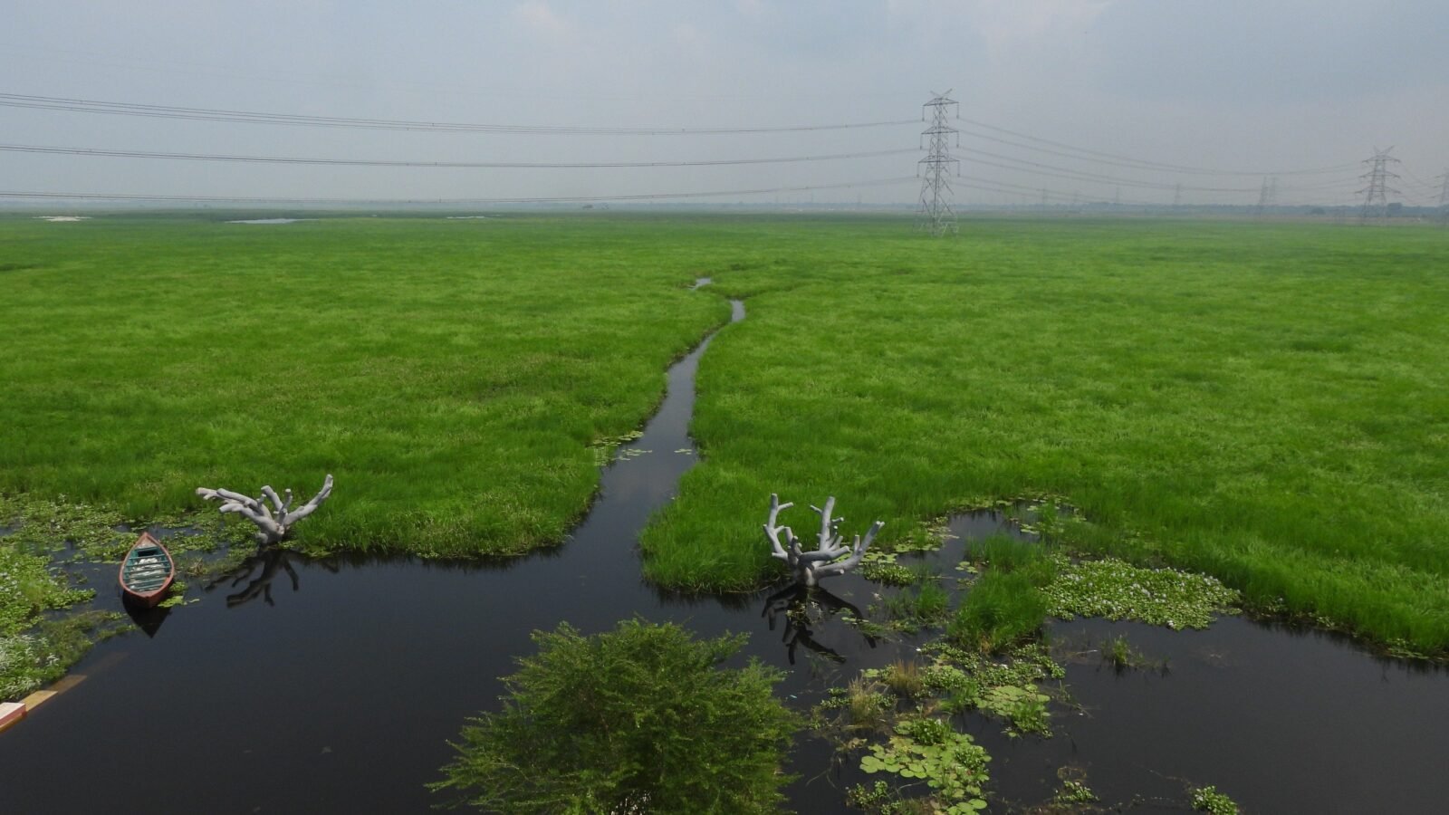 उत्तर प्रदेश के बलिया जिले स्थित सुरहा ताल (जयप्रकाश नारायण पक्षी विहार) को भारत का 100वाँ रामसर स्थल घोषित किया गया है। यह आर्द्रभूमि हर वर्ष लाखों प्रवासी पक्षियों का स्वागत करती है और दुर्लभ जैव विविधता का महत्वपूर्ण केंद्र है। गंगा से जुड़ी यह प्राकृतिक झील पर्यावरण, पर्यटन और स्थानीय अर्थव्यवस्था के लिए बेहद महत्वपूर्ण मानी जाती है। रामसर मान्यता मिलने से इसके संरक्षण, शोध, इको-टूरिज्म और सतत विकास को नई दिशा मिलने की उम्मीद बढ़ गई है।