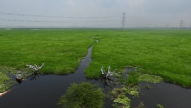 उत्तर प्रदेश के बलिया जिले स्थित सुरहा ताल (जयप्रकाश नारायण पक्षी विहार) को भारत का 100वाँ रामसर स्थल घोषित किया गया है। यह आर्द्रभूमि हर वर्ष लाखों प्रवासी पक्षियों का स्वागत करती है और दुर्लभ जैव विविधता का महत्वपूर्ण केंद्र है। गंगा से जुड़ी यह प्राकृतिक झील पर्यावरण, पर्यटन और स्थानीय अर्थव्यवस्था के लिए बेहद महत्वपूर्ण मानी जाती है। रामसर मान्यता मिलने से इसके संरक्षण, शोध, इको-टूरिज्म और सतत विकास को नई दिशा मिलने की उम्मीद बढ़ गई है।