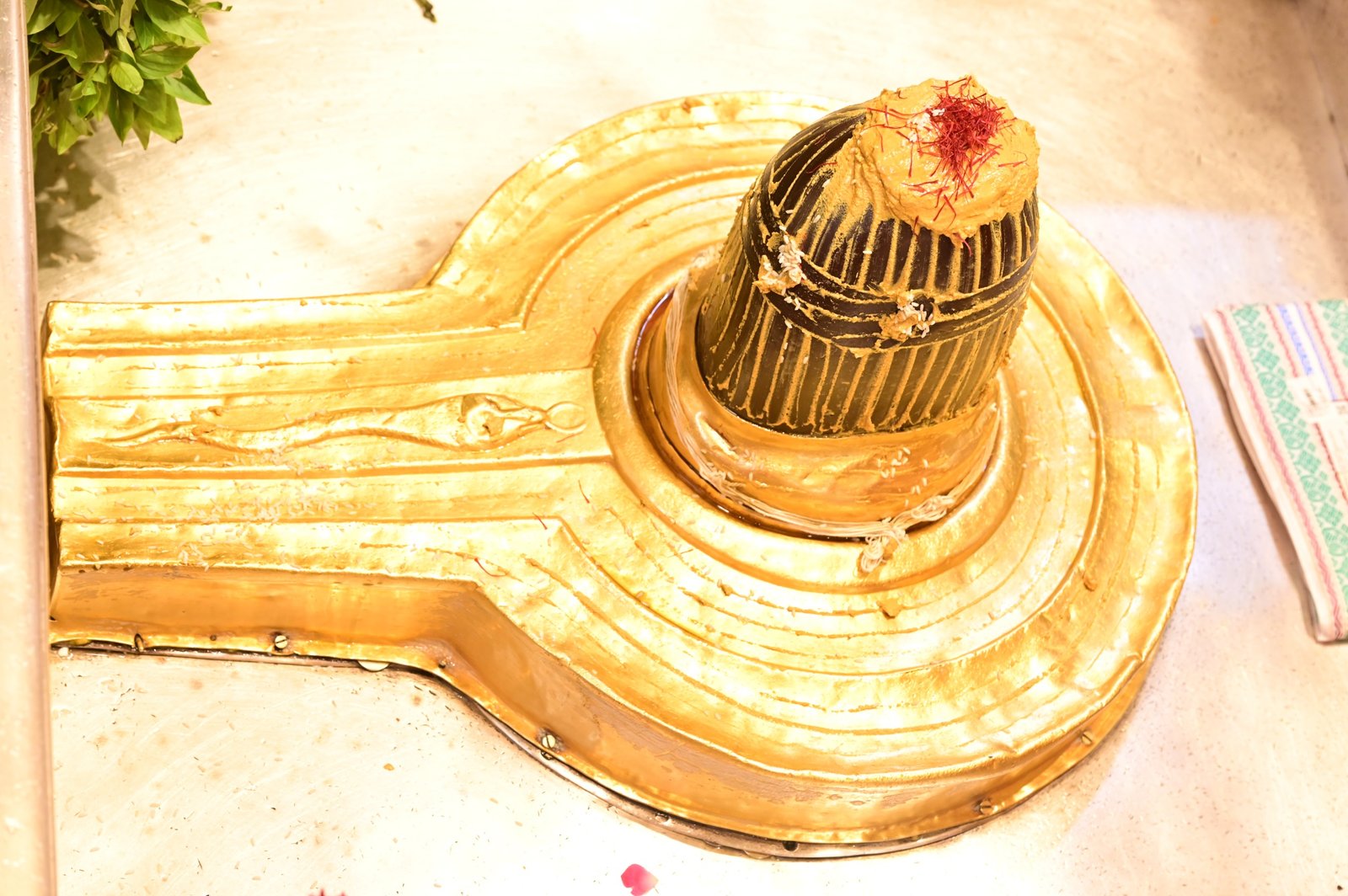 श्रावण मास के प्रथम दिन श्री काशी विश्वनाथ मंदिर में लाखों श्रद्धालुओं ने बाबा विश्वनाथ का जलाभिषेक और दर्शन किया। मंगला आरती के बाद मंदिर परिसर 'हर-हर महादेव' के जयघोष से गूंज उठा। श्रद्धालुओं की सुविधा के लिए रेड कार्पेट, सुरक्षा, चिकित्सा, पेयजल, ओआरएस, विश्राम स्थल और सुचारु दर्शन व्यवस्था के व्यापक प्रबंध किए गए।