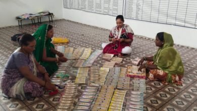 वाराणसी में विलुप्त होती क्रोशिया हस्तकला को स्वयं सहायता समूह की महिलाएं राखी निर्माण से नई पहचान दे रही हैं। पिंडरा के गरथमा और हरहुआ के मंसापुर की दीदियों ने क्रोशिया वर्क से तिरंगा, कृष्ण, रुद्राक्ष और मोती वाली आकर्षक राखियां तैयार की हैं। पर्यावरण-अनुकूल और हस्तनिर्मित इन राखियों की बाजार में अच्छी मांग है। राष्ट्रीय ग्रामीण आजीविका मिशन और योगी सरकार के सहयोग से महिलाएं उत्पादन, पैकिंग और बिक्री का कार्य कर आय अर्जित कर रही हैं। इससे पारंपरिक हुनर के संरक्षण के साथ महिला आत्मनिर्भरता को भी बढ़ावा मिल रहा है।