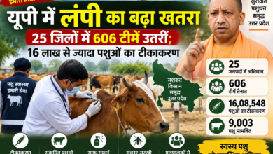 उत्तर प्रदेश में लंपी स्किन डिजीज की रोकथाम के लिए पशुधन विभाग ने व्यापक अभियान तेज कर दिया है। 25 जनपदों में 606 टीमें तैनात कर निगरानी, उपचार और टीकाकरण किया जा रहा है। अब तक 16,08,548 पशुओं का टीकाकरण हो चुका है, जबकि 9,003 पशु प्रभावित बताए गए हैं। विभाग ने रिंग वैक्सीनेशन, संक्रमित पशुओं को अलग रखने, साफ-सफाई, कीटाणुशोधन और मच्छर-मक्खी नियंत्रण पर जोर दिया है। पशुपालकों को बीमारी के लक्षण दिखने पर तत्काल सूचना देने की सलाह दी गई है।