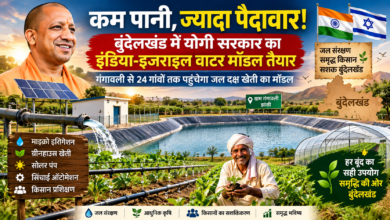 बुंदेलखंड में जल संकट के बीच योगी सरकार इंडिया-इजराइल बुंदेलखंड वाटर प्रोजेक्ट के जरिए जल संरक्षण और आधुनिक कृषि को बढ़ावा दे रही है। झांसी के गंगावली में 19.1 करोड़ रुपये की लागत से मिनी पायलट प्रोजेक्ट विकसित किया जा रहा है। 8.5 हेक्टेयर में ड्रिप-स्प्रिंकलर, ग्रीनहाउस, सोलर पंप और सिंचाई ऑटोमेशन का प्रदर्शन होगा। 72 प्रशिक्षण सत्रों के जरिए किसानों को वाटर बजटिंग, फर्टिगेशन और आधुनिक कृषि तकनीकों की जानकारी दी जाएगी। मॉडल को 24 गांवों तक विस्तार देने की तैयारी है।