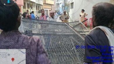 वाराणसी में आगामी एयर शो को देखते हुए प्रशासन ने बर्ड मैनेजमेंट अभियान तेज कर दिया है। आदमपुर के जेरगुल्लर मोहल्ले में नगर निगम, पुलिस और वीडीए की संयुक्त टीम ने कबूतर हटवाए और लोहे की जालियां जब्त कीं। भवन में 100 से अधिक चूहे मिलने पर सफाई व कीटनाशक छिड़काव कराया गया। जांच के दौरान दो बंदूकें भी बरामद हुईं।
