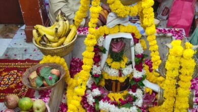 वाराणसी में लायंस क्लब वाराणसी रॉयल द्वारा लायंस सेवा सप्ताह ‘सेवा से संवेदना’ के अंतर्गत श्री ऋण मुक्तेश्वर महादेव मंदिर में भव्य रुद्राभिषेक एवं प्रसाद वितरण का आयोजन किया गया। 2 अक्टूबर को आयोजित इस धार्मिक कार्यक्रम में क्लब के अध्यक्ष अखिलेश अग्रवाल, सचिव संजीव अग्रवाल (मक्कू), कोषाध्यक्ष रवि रंजन अग्रवाल सहित अनेक सदस्यों ने सपरिवार सहभागिता की। वैदिक मंत्रोच्चार के बीच भगवान शिव का अभिषेक कर विश्व कल्याण, सुख-शांति एवं समृद्धि की कामना की गई। आयोजन में सेवा, श्रद्धा और सामाजिक समरसता का संदेश दिया गया।
