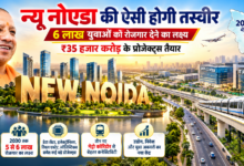 उत्तर प्रदेश में मुख्यमंत्री योगी आदित्यनाथ के नेतृत्व में न्यू नोएडा को औद्योगिक विकास के नए केंद्र के रूप में विकसित करने की तैयारी है। करीब 20 हजार हेक्टेयर क्षेत्र में प्रस्तावित इस विस्तार से वर्ष 2030 तक 5 से 6 लाख रोजगार के अवसर सृजित करने का लक्ष्य है। नोएडा से जुड़े ₹35 हजार करोड़ के 120 प्रोजेक्ट्स में डेटा सेंटर, इलेक्ट्रॉनिक्स, लॉजिस्टिक्स और रियल एस्टेट शामिल हैं। प्रस्तावित मेट्रो कॉरिडोर कनेक्टिविटी को और मजबूत करेंगे।