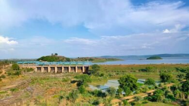 उत्तर प्रदेश की योगी सरकार के प्रयासों से मीरजापुर के जरगो बांध में जलापूर्ति बेहतर हुई है। करीब 30 वर्षों बाद बांध के लबालब होने की उम्मीद जगी है। मेजा-जरगो लिंक नहर के दोनों अंडर स्लूस गेटों की मरम्मत से 150 क्यूसेक पानी की बर्बादी रोकी गई है। वर्तमान में नहर के माध्यम से 229 क्यूसेक पानी बांध तक पहुंच रहा है। इस परियोजना से लगभग 15 हजार किसानों और 6,300 हेक्टेयर कृषि भूमि को सिंचाई में लाभ मिलेगा।
