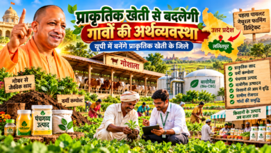 उत्तर प्रदेश में योगी सरकार गोशालाओं को ग्रामीण अर्थव्यवस्था और किसानों की समृद्धि का केंद्र बनाने की दिशा में काम कर रही है। ललितपुर को प्रदेश का पहला पायलट नेचुरल फार्मिंग डिस्ट्रिक्ट बनाने की संभावनाएं तलाशी जा रही हैं। प्रस्तावित मॉडल में गोबर से जैविक खाद, वर्मी कम्पोस्ट, पंचगव्य उत्पाद और बायोगैस तैयार करने पर जोर है। नाबार्ड, उपकार और कृषि विज्ञान केंद्रों के सहयोग से प्राकृतिक खेती, ग्रामीण उद्यमिता और किसानों के उत्पादों के विपणन को बढ़ावा देने की योजना है।